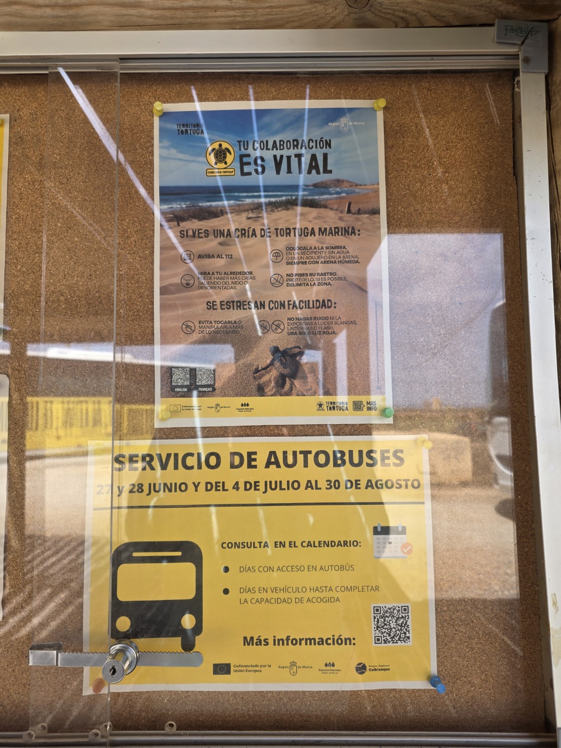 Tablica z terminami kursowania autobusów Calblanque w 2026 roku