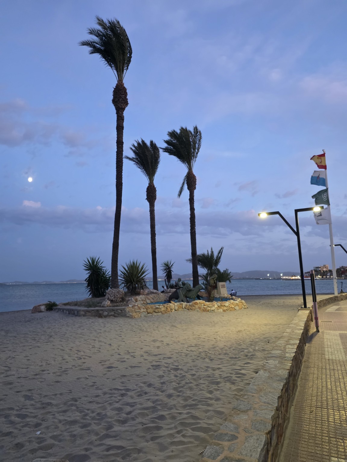 Palmy przy piaszczystej Playa del Espejo