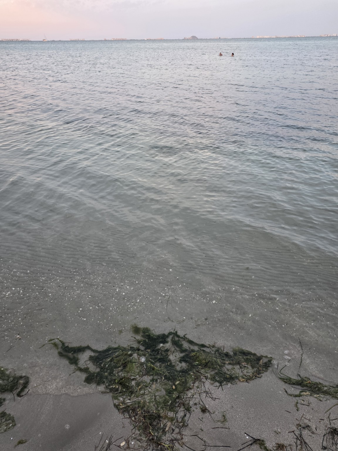 Spokojna woda Mar Menor i biomasa roślinna przy brzegu Playa del Espejo